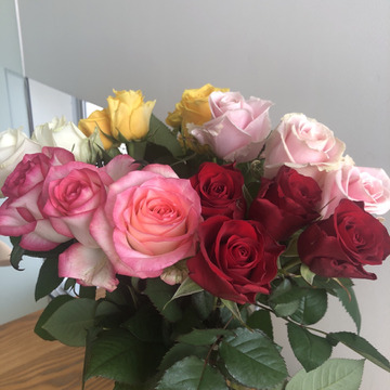 フラワーバレンタイン 男性へのプレゼントにおすすめ イエロー ホワイト厳選バラ本花束ちょこっとラッピング 黄 白 静岡県産 食べチョク 農家 漁師の産直ネット通販 旬の食材を生産者直送