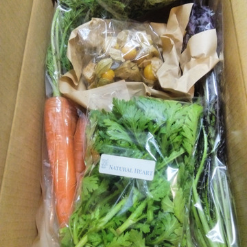 希少な 自然栽培 固定種 の野菜セット ミニ野菜ボックス 山梨県産 食べチョク 農家 漁師の産直ネット通販 旬の食材を生産者直送