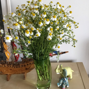 季節を感じる 旬のオーガニックフラワー 花束