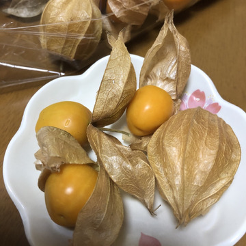 スーパーフード 希少な 自然栽培 の 食用ほおずき 300g 山梨県産 食べチョク 農家 漁師の産直ネット通販 旬の食材を生産者直送 スーパーフード 希少な 自然栽培 の 食用ほおずき 300g 山梨県産 食べチョク 農家 漁師の産直ネット通販 旬の食材を生産者直送