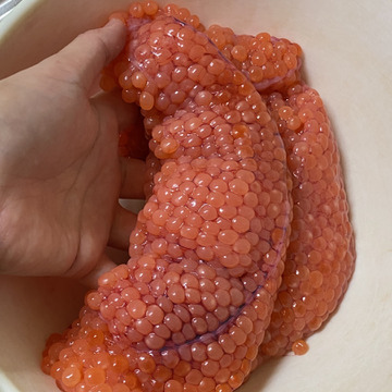 こんな刺身があったのか 北海道産 刺身用ニシンの切身 3パック 急速冷凍 北海道産 食べチョク 農家 漁師の産直ネット通販 旬の食材を生産者直送