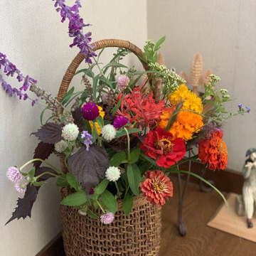 季節を感じる 旬のオーガニックフラワー 花束