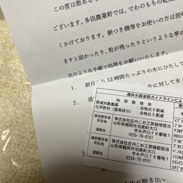 水耕栽培イチジク ドーフィン8個以上入り 完熟ではありません 山形県産 食べチョク 農家 漁師の産直ネット通販 旬の食材を生産者直送