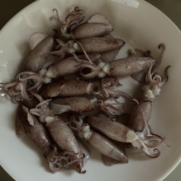 今が旬 子持ちのベイカはイカが 0g程度 岡山県産 食べチョク 農家 漁師の産直ネット通販 旬の食材を生産者直送