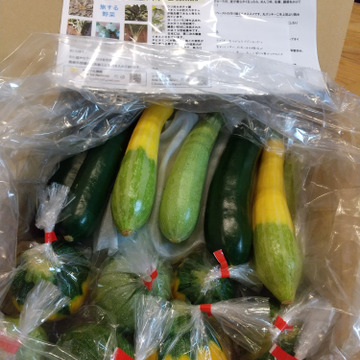 旅する野菜 ズッキーニ 食べ比べセット 茨城県産 食べチョク 農家 漁師の産直ネット通販 旬の食材を生産者直送
