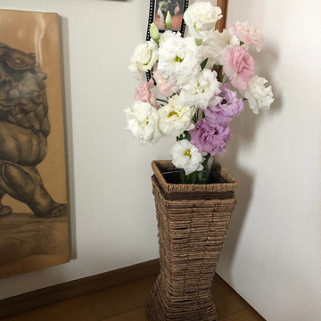 Matsuzakiさんがスマートフォレストさんの大輪で華やか トルコキキョウ 切り花 輪束 が 届いたよ を投稿しました 食べチョク