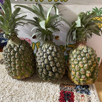 減農薬パイナップル ピーチパイン 小玉 3個 沖縄県産 食べチョク 農家 漁師の産直ネット通販 旬の食材を生産者直送