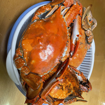 最新の激安 ふるさと納税 数量限定 瀬戸内海の冬の味覚 香川県産天然ワタリガニ 雌 内子 卵入り 蒸し 約1kg 2 3杯 蟹 カニ ワタリガニ お届け 年12月下旬 21年3月上旬 期間限定送料無料 Antofagastaen100palabras Cl 最新の激安 ふるさと納税 数量限定 瀬戸内海の冬の味覚 香川県産天然ワタリガニ 雌 内子 卵入り 蒸し 約1kg 2 3杯 蟹 カニ ワタリガニ お届け 年12月下旬 21年3月上旬 期間限定送料無料 Antofagastaen100palabras Cl