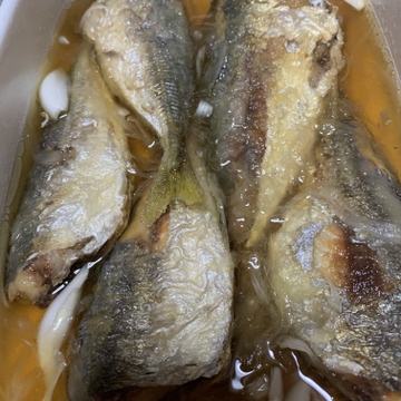 明日朝まで限定 捕れたて 天然ヤズ ブリ 約3キロ 長崎県対馬市 長崎県産 食べチョク 農家 漁師の産直ネット通販 旬の食材を生産者直送 明日朝まで限定 捕れたて 天然ヤズ ブリ 約3キロ 長崎県対馬市 長崎県産 食べチョク 農家 漁師の産直ネット通販 旬の食材を生産者直送
