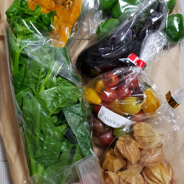希少な 自然栽培 固定種 の野菜セット ミニ野菜ボックス 山梨県産 食べチョク 農家 漁師の産直ネット通販 旬の食材を生産者直送