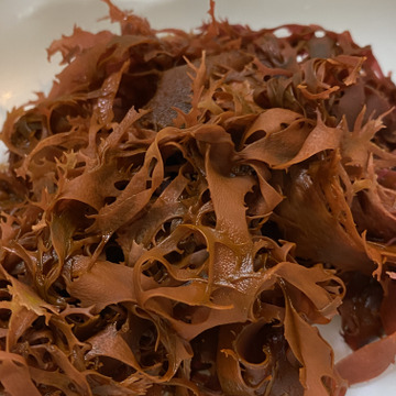 伊豆の美味しい トサカノリ とさかのり 500グラム産地直送です 冷凍品 静岡県産 食べチョク 農家 漁師の産直ネット通販 旬の食材を生産者直送 伊豆の美味しい トサカノリ とさかのり 500グラム産地直送です 冷凍品 静岡県産 食べチョク 農家 漁師の産直ネット通販 旬の食材を生産者直送