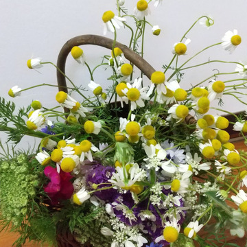 季節を感じる 旬のオーガニックフラワー 花束