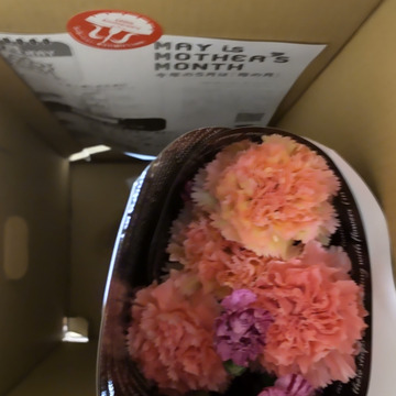 母の日カーネーション花束 レインボー 草木染セット 千葉県産 食べチョク 農家 漁師の産直ネット通販 旬の食材を生産者直送