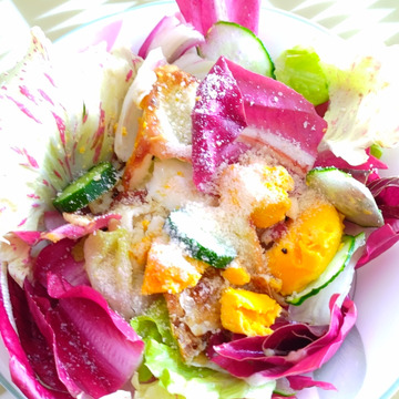 シーザーサラダに ロメインレタス エンダイブなど 季節のサラダ野菜セット 岡山県産 食べチョク 農家 漁師の産直ネット通販 旬の食材を生産者直送