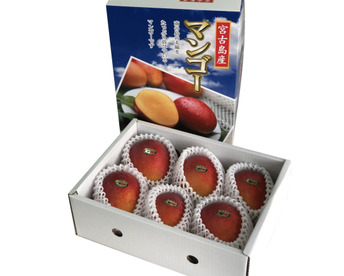 【夏ギフト】沖縄･宮古島産ご贈答用マンゴー2kg／3～6玉（糖度保証・熨斗対応可）