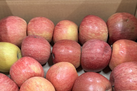 ★残りわずか★葉とらずサンふじ🍎訳ありバラ詰め 約３Kg　青森県産