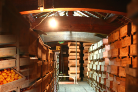 【本場・下津蔵出しみかん】土壁蔵で木箱仕込みし寝かせた熟成みかん｜農家直送