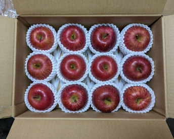 【小玉りんご】ふじ！りんごの王様【贈答規格5kg】