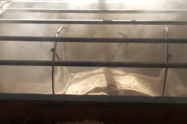 本物の発酵飼料を与えた卵