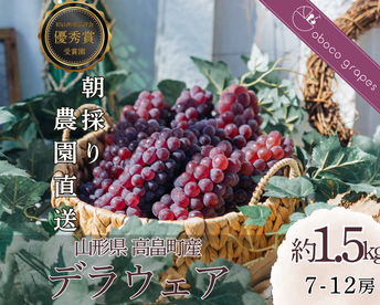 【2026年予約販売】甘さ弾ける！『デラウェア』1.5kg(7-12房)【お中元】