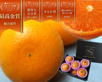 🏆みかん柑橘グランプリ2026最高金賞含む最多４部門受賞の木熟せとか！大感動！樹上完熟させた濃厚な甘みの大トロせとか！とろける甘さと上品な味わい！「木熟せとか」厳選プレミアム　約１．４ｋｇ【401】