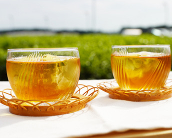 【贈答用】お茶 水出しほうじ茶／5g×50 プレゼントやちょっとしたギフトにいかがでしょうか？】ティーバッグ これからの季節に お湯出し あったかい 松田製茶 猿島茶 実質送料無料 クリックポスト