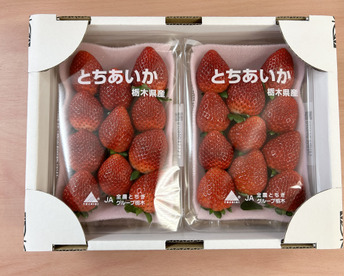 『とちあいか』フレーズのこだわりいちご260×2パック