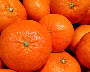 【家庭用】甘平 3.5kg ギッシリ果肉のシャキシャキ食感♡愛媛限定高級柑橘♫愛媛みかん！！