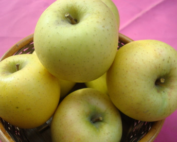 シナノゴールド　更にお値下げ！　お徳用　訳あり　ご家庭専用 ご好評販売中　3キロコース　(10個から12個前後入り）