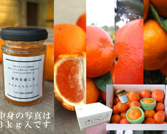 【2箱まとめ買い】【福袋】完熟みかんや希少柑橘の食べ比べにジャムも！12月下旬の年内発送！家族でワイワイ♪♪「旬のこだわり柑橘食べ比べ福袋」家庭用　約3kg入2箱セット【商品番号1101-2】