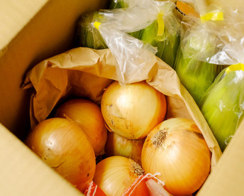 ★★初夏の甘うまセット★★（淡路島玉ねぎ5kg+ホワイトコーン10本） とうもろこし　トウモロコシ