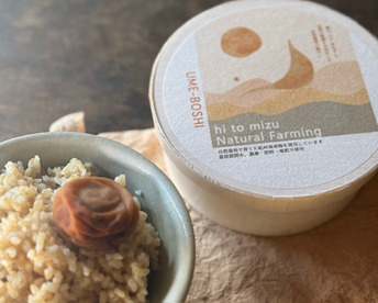 自然栽培で育った紀州南高梅【ひとみずの梅干し】１kｇ（500g×２個）｜無添加｜無肥料｜農薬不使用｜天日湖塩だけ