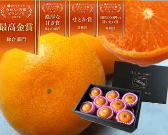 🏆みかん柑橘グランプリ2026最高金賞含む最多４部門受賞の木熟せとか！大感動！樹上完熟させた濃厚な甘みの大トロせとか！とろける甘さと上品な味わい！「木熟せとか」厳選プレミアム　約２．８ｋｇ【402】