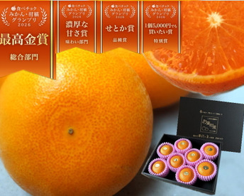 🏆みかん柑橘グランプリ2026最高金賞含む最多４部門受賞の木熟せとか！大感動！樹上完熟させた濃厚な甘みの大トロせとか！とろける甘さと上品な味わい！「木熟せとか」厳選プレミアム　約１ｋｇ【400】