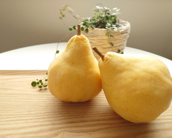 たかはし果樹園謹製 高級西洋梨「ル・レクチェ」青秀品 中玉 約4kg