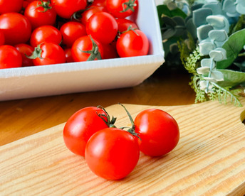 【甘くて芳醇ご褒美ミニトマト】　寒暖差で甘みが凝縮した今が旬！太陽の光をたっぷり浴びて育った高糖度ミニトマトをギフト箱でお届けします！自分へのちょっとしたご褒美、大切な方への贈り物にも！　1kg×1箱