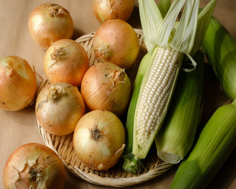 ★★初夏の甘うまセット★★（淡路島玉ねぎ2.5kg+ホワイトコーン5本）とうもろこし　トウモロコシ