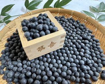 【🎍新豆】丹波黒豆500g お正月の黒豆煮用に是非🫘 レシピ付 有馬温泉の麓より どらまめと同じ品種 丹波黒大豆 丹波黒 黒豆《12/15日〜年内発送・お買い得📣》【福袋】【ゲン担ぎ福袋】