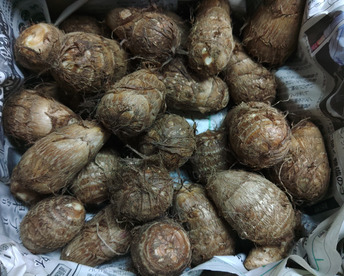 ねっとりとした！上野原の自然あふれる里山育ちの里芋1.8Kg