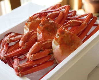 【ギフト】佐渡島直送！浜茹で紅ズワイガニ（1杯400g/3杯）