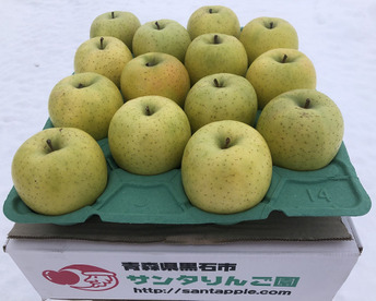 農家直送　青森りんご　王林(おうりん)　家庭用　約３キロ　同名タレントさんの活躍で、知名度抜群の甘いりんご！