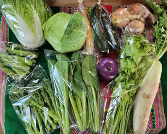 月〜木曜日限定で翌日までに発送!!お楽しみ★農園自慢の情熱野菜セット　9袋　　フードロス対策　パチャママ農園　訳あり　規格外