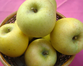 どっちがお好き！！完熟サンふじ＆シナノゴールドのアソート 　 訳あり家庭専用お買い得コース　当園人気ナンバー1企画
　お徳用3キロコース　9個から13個入り