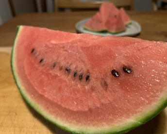 タネまで食べられる！小玉スイカピノガール！(2玉/3.5〜4キロ)