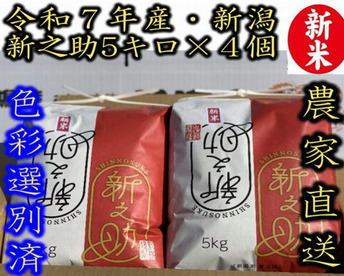 大粒で　粒感がありしっかりとした食感　冷めても固くなりにくい新米　新潟県のお米のトップブランド　新之助（新潟県認証銘柄）　白米5kg × 4個★農家直送★色彩選別済