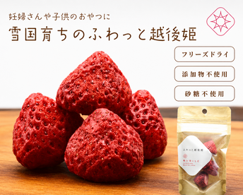 妊婦さん子供のおやつに　フリーズドライいちご　"ふわっと越後姫"4g 10袋　100%無添加無加糖無着色 ドライフルーツ　定植後化学農薬不使用のドライいちごおやつ国産いちご＊ふわっと姫4g※20061
