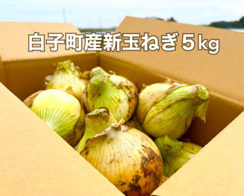 【白子町特産】✨林農園の新玉ねぎ
✨（５kg）