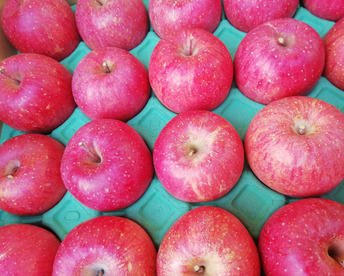 コレハお得だ！！完熟サンふじ　かわいいサイズ「小玉ちゃん」　丸かじりサイズ　お値下げ総決算価格！！　5キロ箱コース（20個から23個入り）ご好評販売中