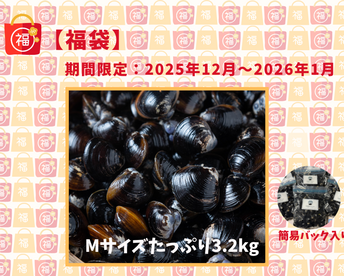 【福袋】漁師直送！宍道湖産ヤマトシジミ・冷凍3.2kg（ご家庭用・Mサイズ）