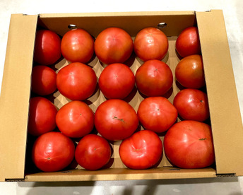 【超お得】お得な訳ありトマト約2kg！(12〜24玉)【福岡県産トマト】！ 【父の日ギフト】